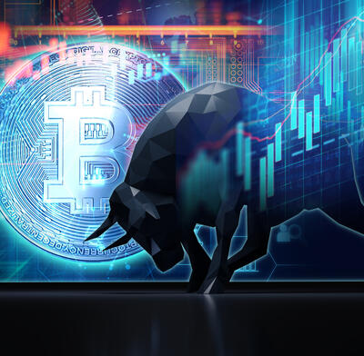 Bitcoin bull and price graphs
