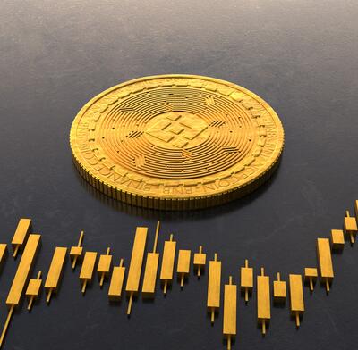 BNB_coin_06