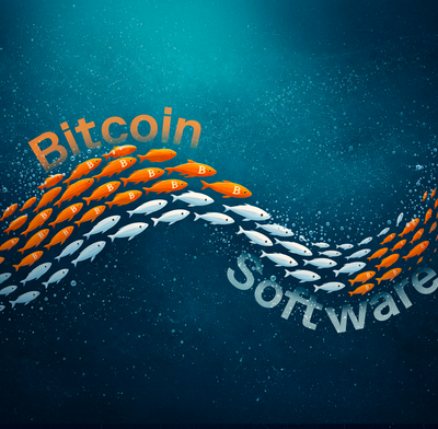 Store of Value or Software Beta The Tech Equity Lens on Crypto