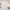 Ethereum and the Orphaned Layers-2