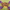Tether_coins_16.jpg