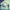 BNY STANCHART CIRCLE